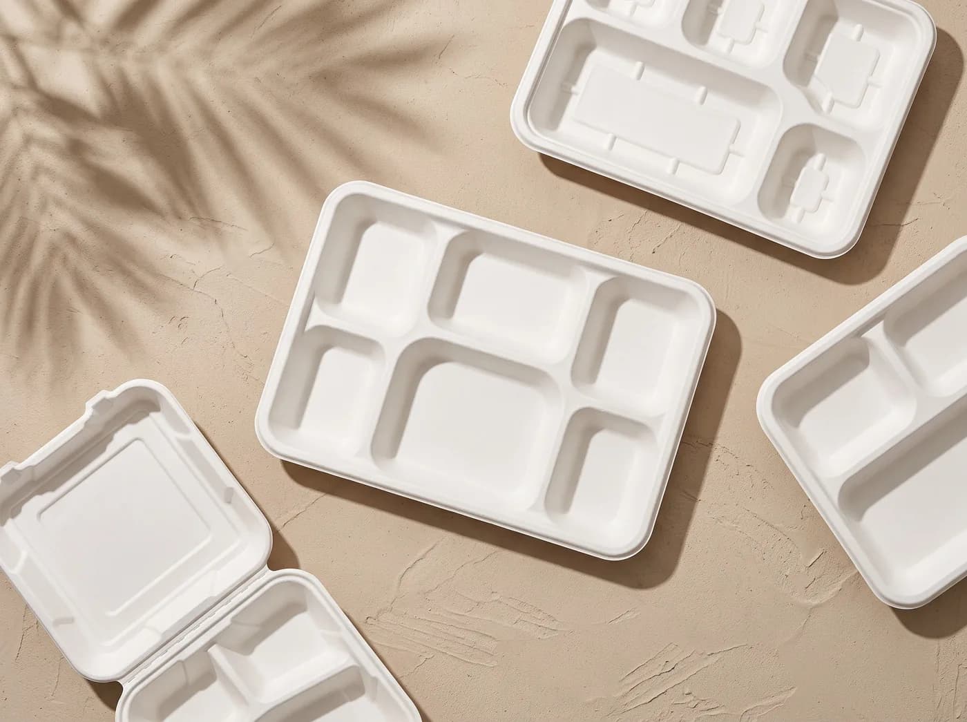 White bagasse compartment meal trays and clamshells flat lay