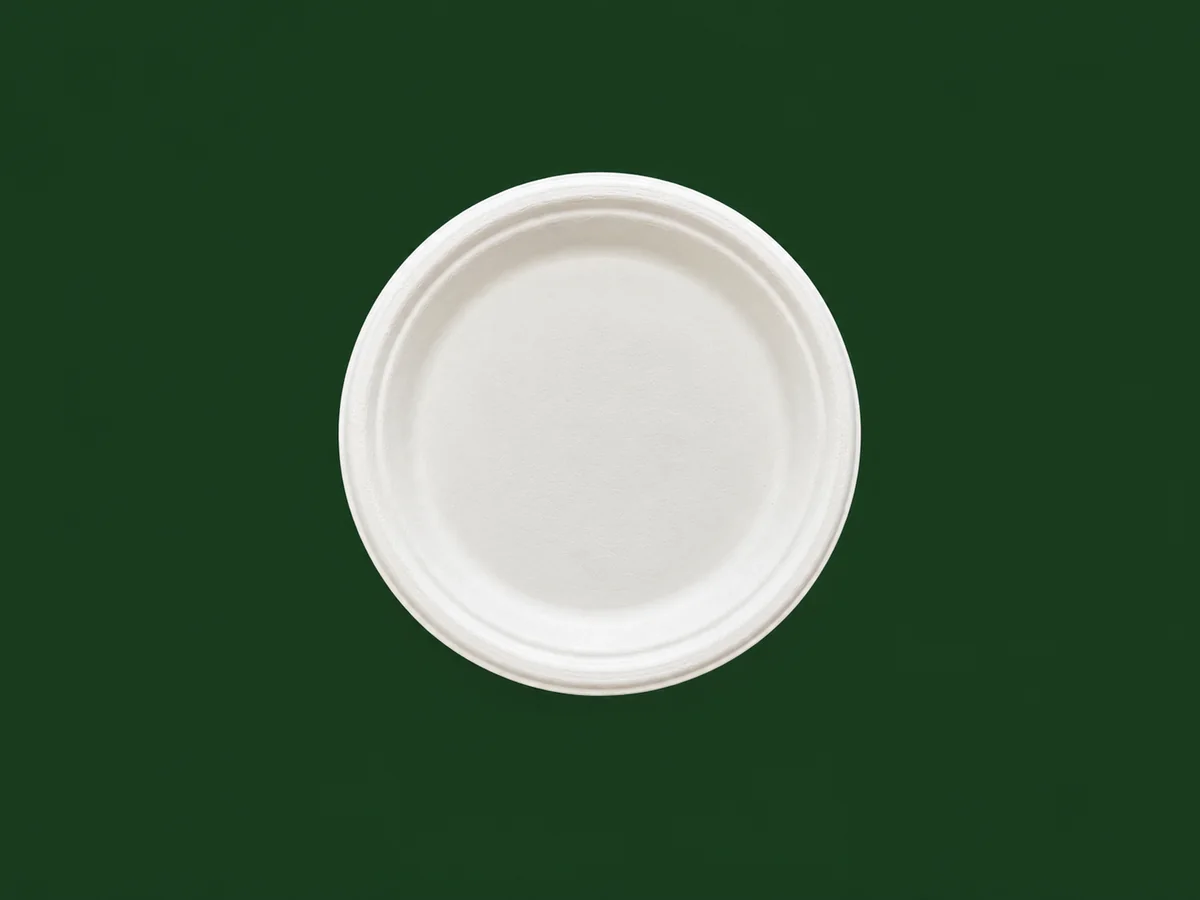 6 inch Round Plate