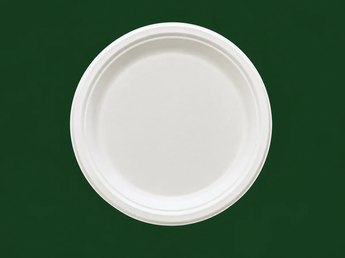 9 inch Round Plate